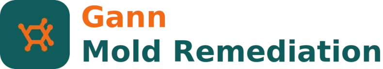 Gann Mold Remediation