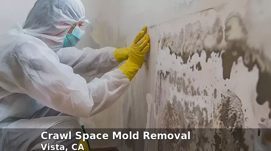 Crawl Space Mold Removal in Vista, CA