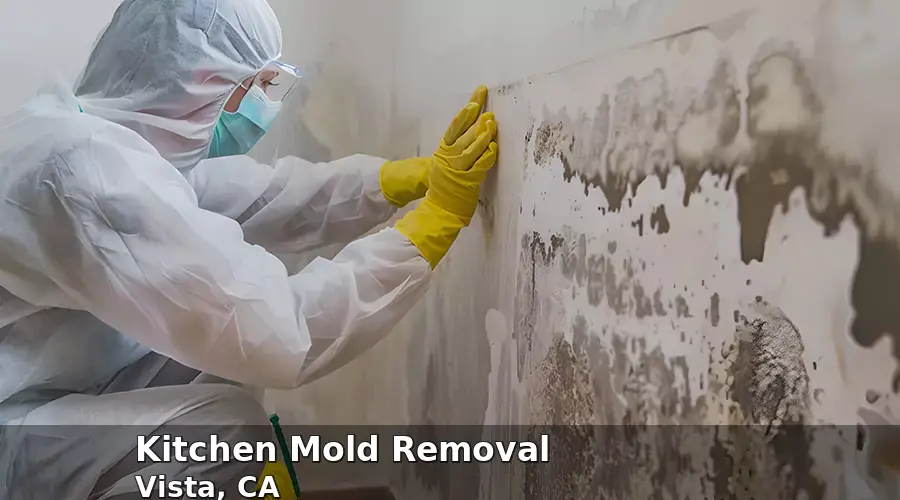 Kitchen Mold Removal in Vista, CA