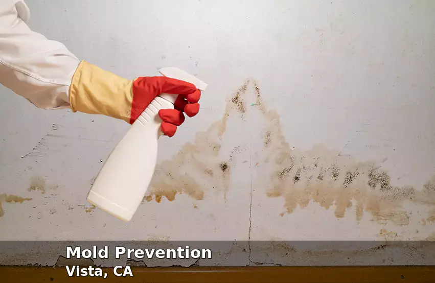 Mold Prevention in Vista, CA