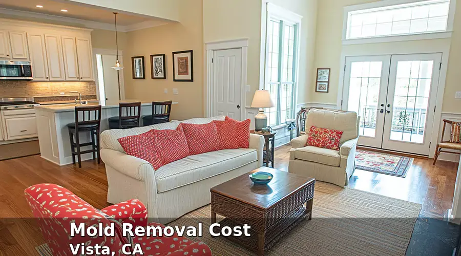 Mold Removal Cost in Vista, CA